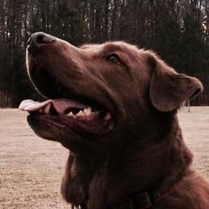 Meet your Posher, Mary margaret